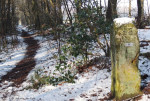 Grenssteen 98